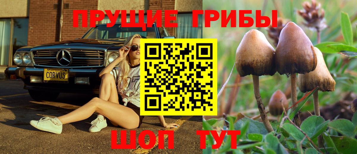 Псилоцибиновые грибы ЛСД  где продают   Галлюциногенные грибы Cubensis  Кызыл  Вход с VPN 