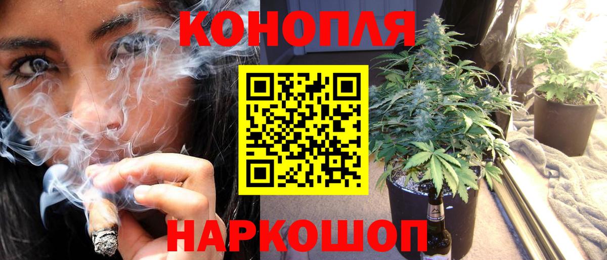 Марихуана гибрид  Шишки марихуана план  Кызыл  Вход с VPN  Бошки марихуана White Widow  Марихуана THC 21% 